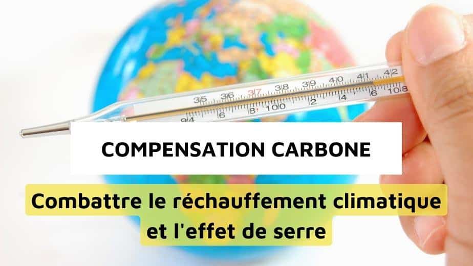 Compensation carbone : un moyen pour combattre l’effet de serre